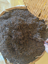 Load image into Gallery viewer, 2017 Liupao Authentic Golden Camellia Natural Rare Tea Taste for Drinking & Collecting