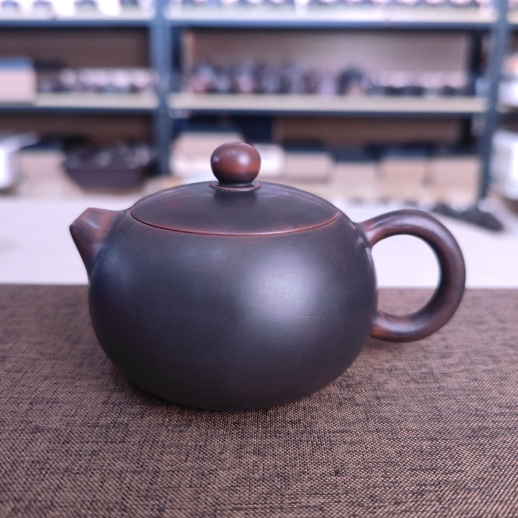 200ml Hand Throwing Bronze Round Xishi Teapot Nixing Clay Kettle ...